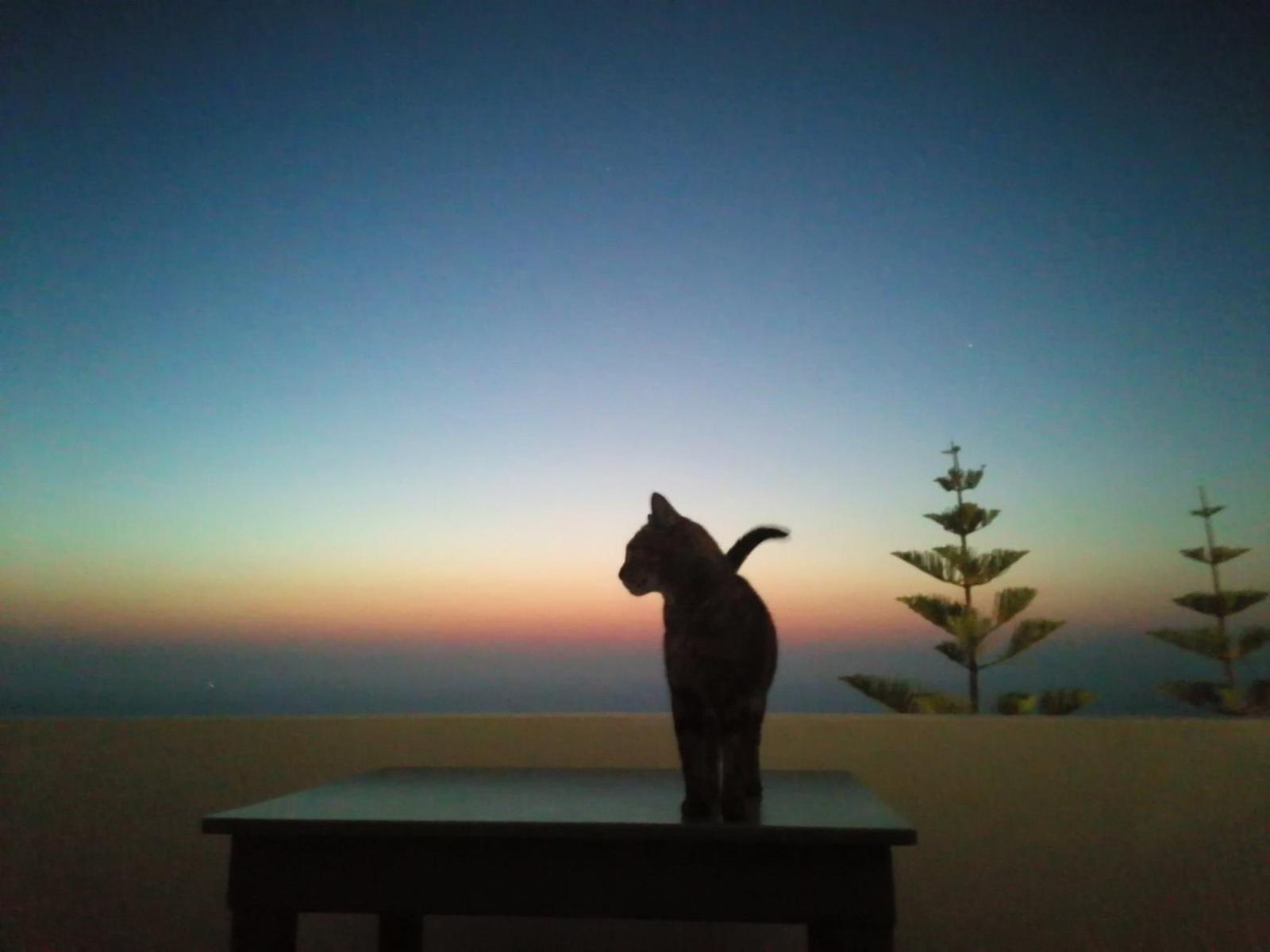 Phaos Santorini Suites Imerovigli  Esterno foto