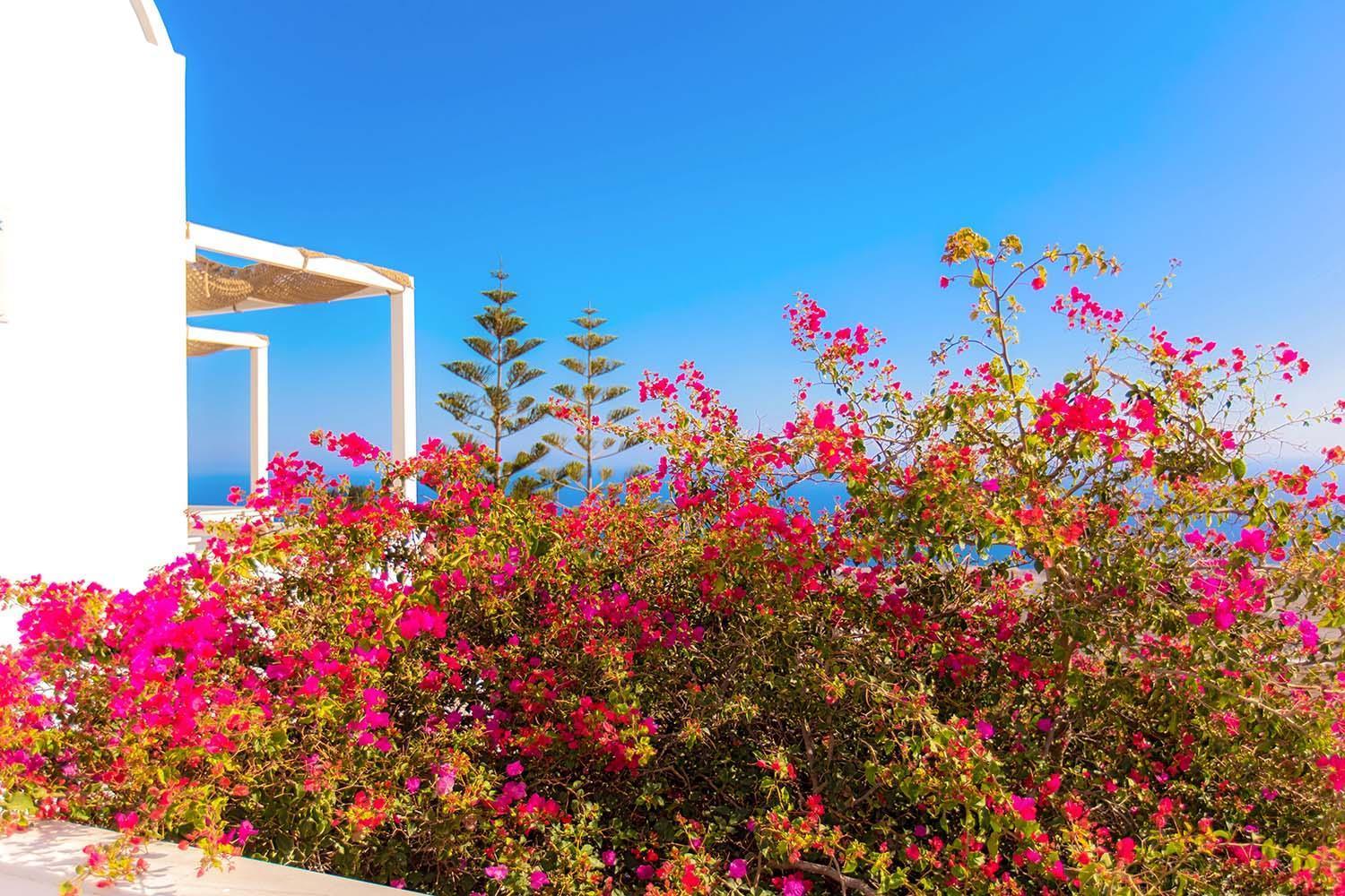Phaos Santorini Suites Imerovigli  Esterno foto